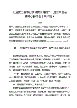 街道党工委书记学习贯彻党的二十届三中全会精神心得体会范文12篇供参考.docx