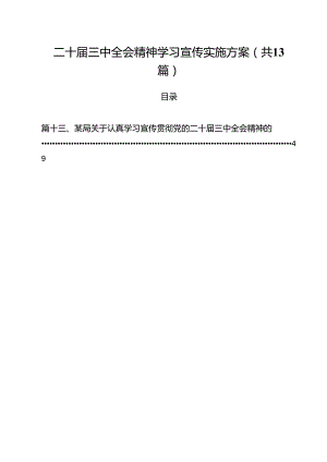 （13篇）二十届三中全会精神学习宣传实施方案专题资料.docx