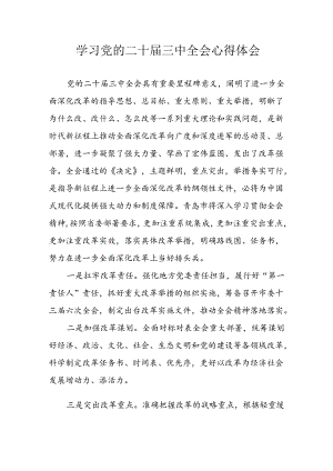 学习2024年学习党的二十届三中全会个人心得体会 （合计14份）.docx