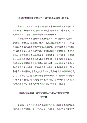 （9篇）基层纪检监察干部学习二十届三中全会精神心得体会（精选）.docx