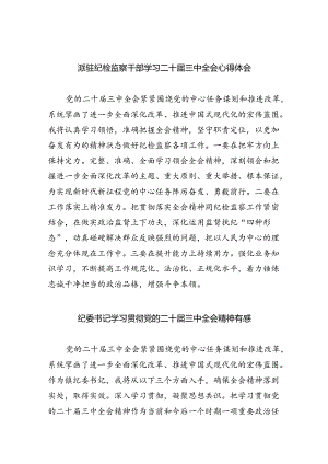 （9篇）派驻纪检监察干部学习二十届三中全会心得体会范文.docx