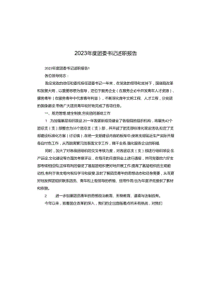 2023年度团委书记述职报告.docx