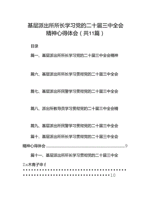 （11篇）基层派出所所长学习党的二十届三中全会精神心得体会（详细版）.docx