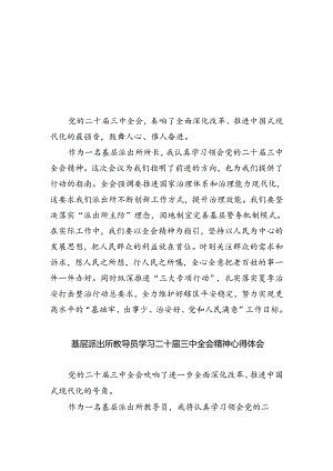 基层派出所所长学习贯彻党的二十届三中全会精神心得体会例文8篇（精选版）.docx