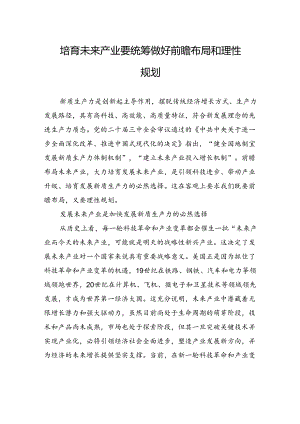 培育未来产业要统筹做好前瞻布局和理性规划.docx