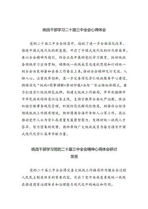 统战干部学习二十届三中全会心得体会(5篇集合).docx