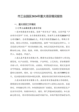 市工业园区2024年重大项目情况报告 .docx