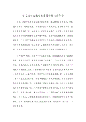 学习践行安徽考察重要讲话心得体会.docx