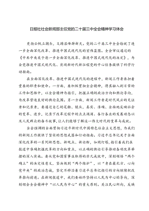 (六篇)日报社社会新闻部主任党的二十届三中全会精神学习体会（详细版）.docx