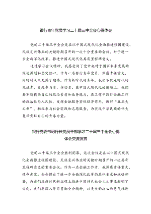 （9篇）银行青年党员学习二十届三中全会心得体会范文.docx