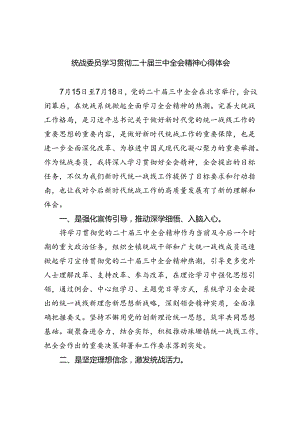 （9篇）统战委员学习贯彻二十届三中全会精神心得体会（精选）.docx