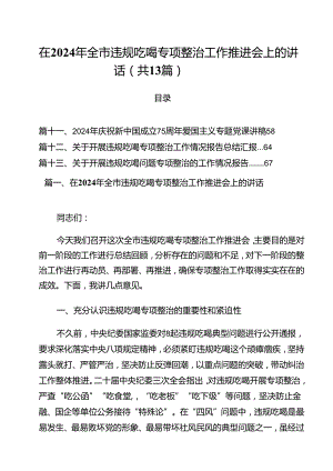在2024年全市违规吃喝专项整治工作推进会上的讲话13篇（精选）.docx