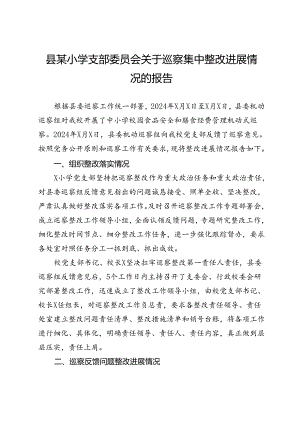 县某小学支部委员会关于巡察集中整改进展情况的报告.docx