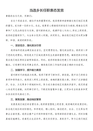 当选乡长任职表态发言.docx