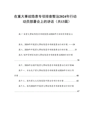 在重大事故隐患专项排查整治2024年行动动员部署会上的讲话（共13篇）.docx