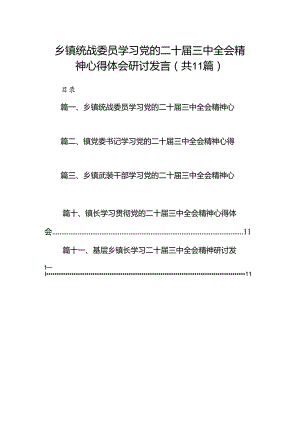（11篇）乡镇统战委员学习党的二十届三中全会精神心得体会研讨发言集合.docx
