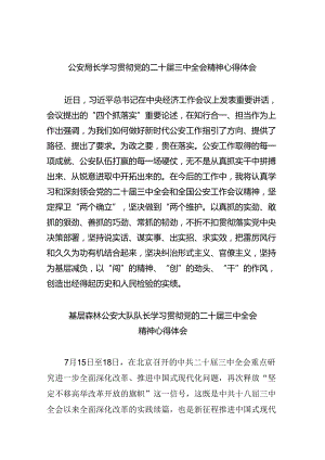 （11篇）公安局长学习贯彻党的二十届三中全会精神心得体会（详细版）.docx