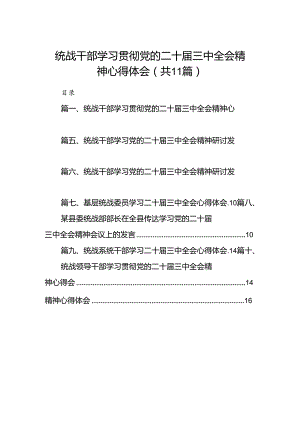 （11篇）统战干部学习贯彻党的二十届三中全会精神心得体会（最新版）.docx