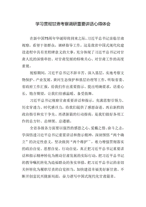 2024年学习贯彻甘肃考察调研重要讲话心得体会.docx