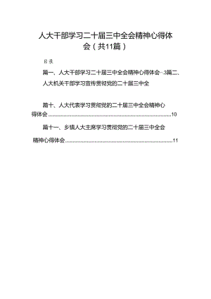 （11篇）人大干部学习二十届三中全会精神心得体会范文.docx