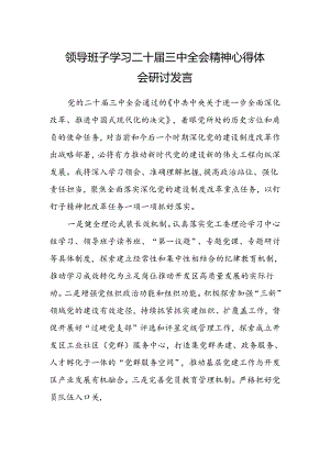 领导班子学习二十届三中全会精神心得体会研讨发言.docx