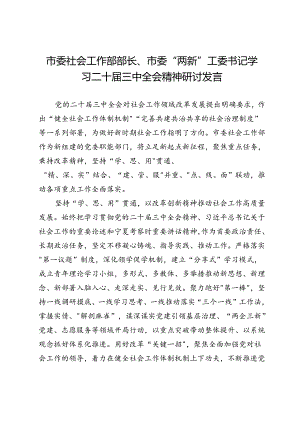 市委社会工作部部长、市委“两新”工委书记学习二十届三中全会精神研讨发言.docx