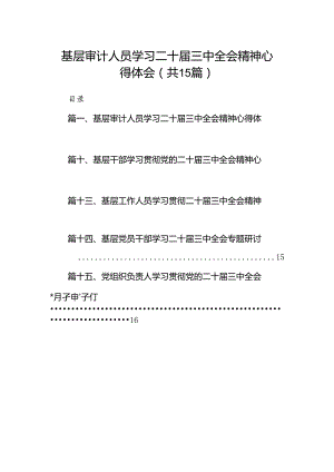 （15篇）基层审计人员学习二十届三中全会精神心得体会汇编.docx