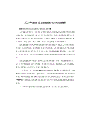2024年度组织生活会支委班子对照检查材料.docx