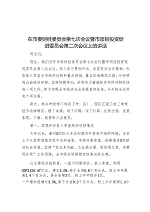 在市委财经委员会第七次会议暨市项目投资促进委员会第二次会议上的讲话.docx
