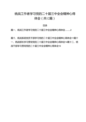 统战工作者学习党的二十届三中全会精神心得体会12篇（精选）.docx