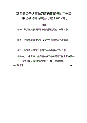 （12篇）某乡镇关于认真学习宣传贯彻党的二十届三中全会精神的实施方案范文.docx