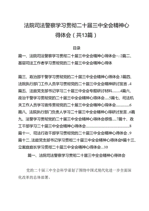 （13篇）法院司法警察学习贯彻二十届三中全会精神心得体会（精选）.docx