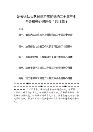 （11篇）治安大队大队长学习贯彻党的二十届三中全会精神心得体会范文.docx