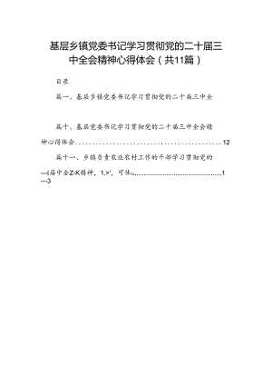 （11篇）基层乡镇党委书记学习贯彻党的二十届三中全会精神心得体会（最新版）.docx