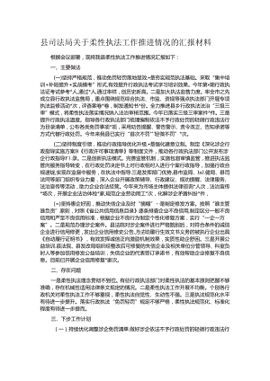 县司法局关于柔性执法工作推进情况的汇报材料.docx