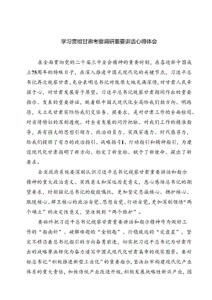 学习贯彻甘肃考察调研重要讲话心得体会【六篇精选】供参考.docx
