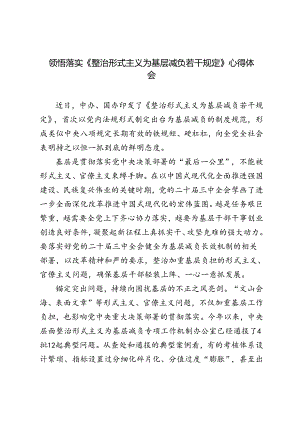 2024年9月领悟《整治形式主义为基层减负若干规定》 心得体会.docx