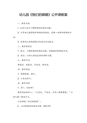 幼儿园《我们的眼睛》公开课教案.docx