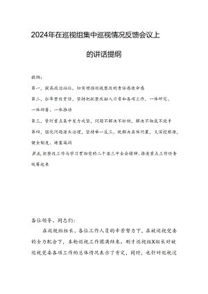 2024年在巡视组集中巡视情况反馈会议上的讲话提纲.docx