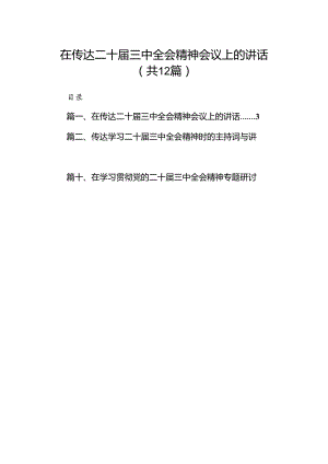 (12篇)在传达二十届三中全会精神会议上的讲话（精选）.docx