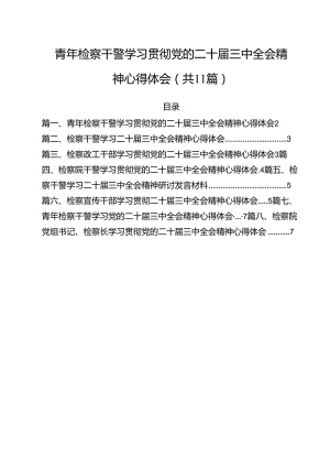 青年检察干警学习贯彻党的二十届三中全会精神心得体会【11篇精选】供参考.docx
