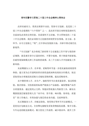 （11篇）青年民警学习贯彻二十届三中全会精神心得体会集合.docx