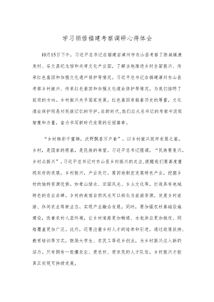 学习领悟福建考察调研心得体会.docx