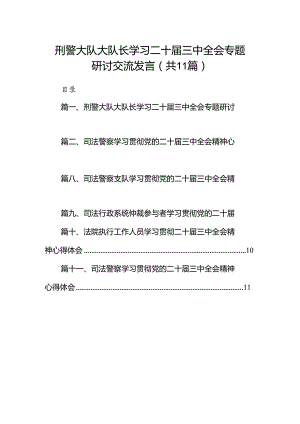 （11篇）刑警大队大队长学习二十届三中全会专题研讨交流发言（详细版）.docx