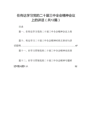(12篇)在传达学习党的二十届三中全会精神会议上的讲话范文.docx