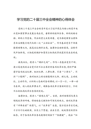 2024年二十届三中全会精神学习体会(33篇).docx
