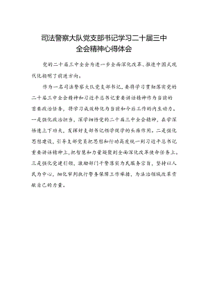司法警察大队党支部书记学习二十届三中全会精神心得体会.docx
