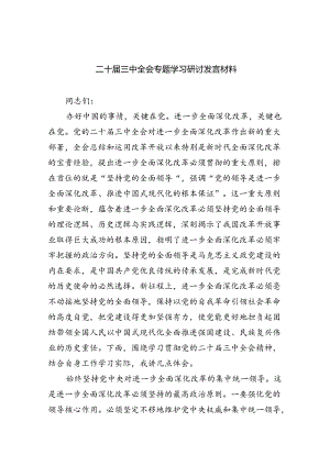（9篇）二十届三中全会专题学习研讨发言材料范文.docx