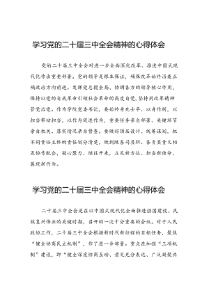 学习党的二十届三中全会心得感悟发言稿四十篇.docx