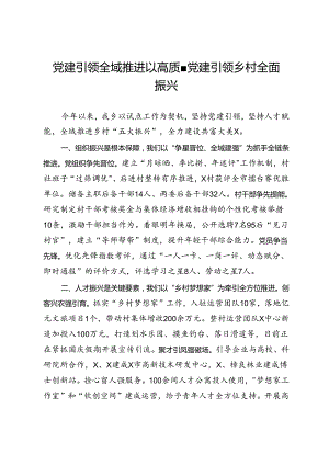 交流发言：党建引领 全域推进 以高质量党建引领乡村全面振兴.docx